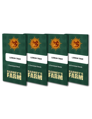 Lemon Tree - Barney's Farm femminizzati Barney's Farm €40,00