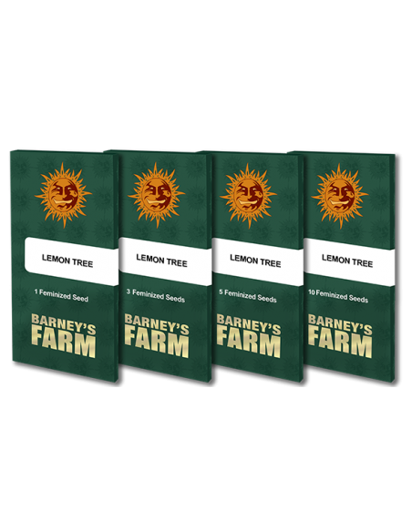 Lemon Tree - Barney's Farm femminizzati Barney's Farm €40,00