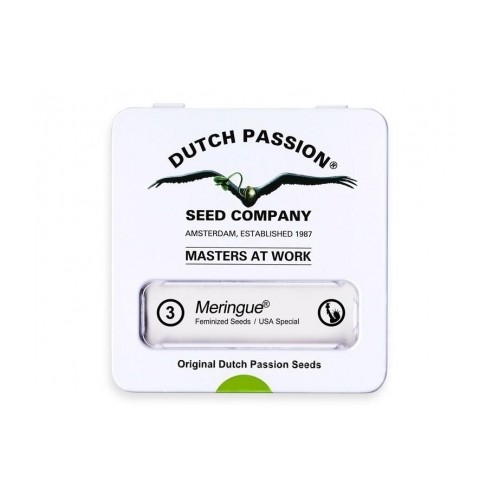 Meringue - Dutch Passion femminizzati Dutch Passion €49,95