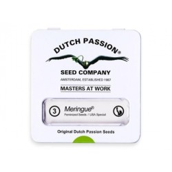 Meringue - Dutch Passion femminizzati Dutch Passion €49,95