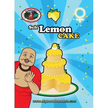 Sch' Lemon Cake - Big Buddha Seeds femminizzat Big Buddha Seeds €34,99 2