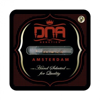Sour Sorbet - DNA Genetics femminizzati DNA Genetics €40,00 2