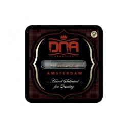 Bakers Delight - DNA Genetics femminizzati DNA Genetics €40,00 Bakers Delight - DNA Genetics femminizzati DNA Genetics €40,00