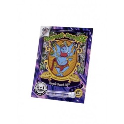 Purple Punch OG - Sweet Seeds femminizzati Sweet Seeds €28,00