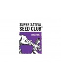Kosher Haze - Super Sativa Seed Club femminizzati Super Sativa Seed Club €85,00