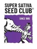 Pineapple Poison - Super Sativa Seed Club femminizzati Super Sativa Seed Club €65,00