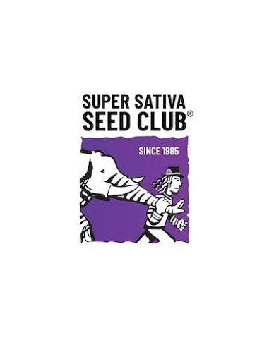 Pineapple Poison - Super Sativa Seed Club femminizzati Super Sativa Seed Club €65,00