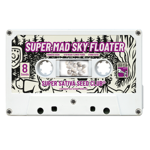 Super Mad Sky Floater - Super Sativa Seed Club femminizzati Super Sativa Seed Club €125,00