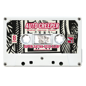 Auto Creeper - Super Sativa Seed Club femminizzati Super Sativa Seed Club €95,00