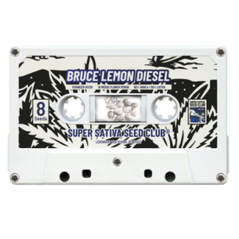 Bruce Lemon Diesel - Super Sativa Seed Club femminizzati Super Sativa Seed Club €41,00