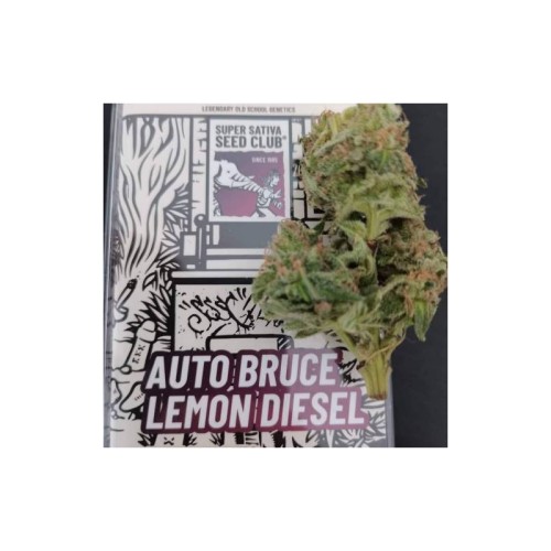 Auto Bruce Lemon Diesel - Super Sativa Seed Club femminizzati Super Sativa Seed Club €42,00