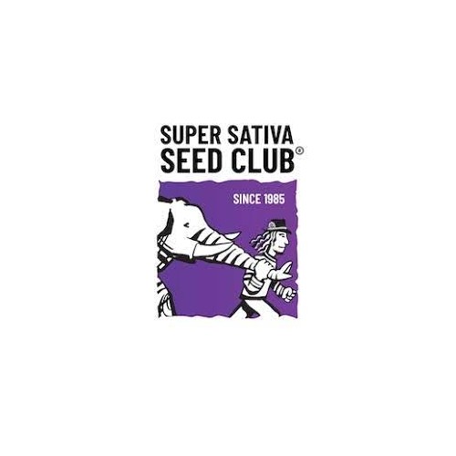 Auto Bruce Lemon Diesel - Super Sativa Seed Club femminizzati Super Sativa Seed Club €42,00