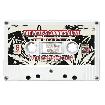 Fat Pete's Cookies Auto - Super Sativa Seed Club femminizzati Super Sativa Seed Club €33,00