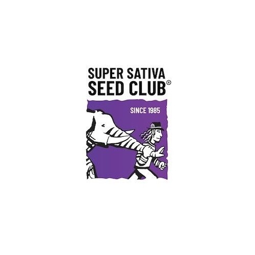 Lemon OG - Super Sativa Seed Club femminizzati Super Sativa Seed Club €50,00