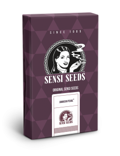 Jamaican Pearl - Sensi Seeds femminizzati Sensi Seeds €27,50 2