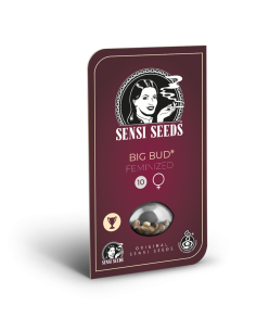 Big Bud - Sensi Seeds femminizzati Sensi Seeds €34,99 2