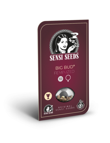 Big Bud - Sensi Seeds femminizzati Sensi Seeds €34,99