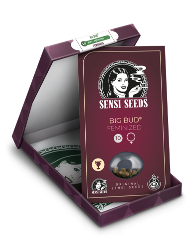 Big Bud - Sensi Seeds femminizzati Sensi Seeds €34,99