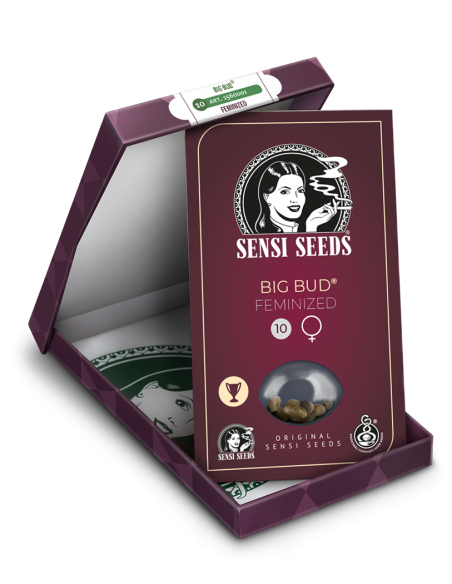 Big Bud - Sensi Seeds femminizzati Sensi Seeds €34,99 Big Bud - Sensi Seeds femminizzati Sensi Seeds €34,99
