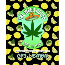 Ch2 Lemon - The Weed House