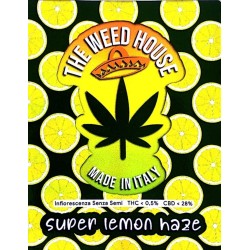 Super Lemon Haze - The Weed House