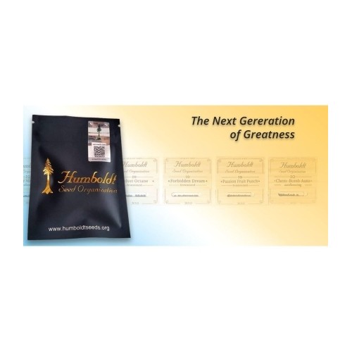 Mango OG Auto - Humboldt Seed Organization femminizzati Humboldt Seed Organization €33,50