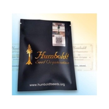 Lemon Citron - Humboldt Seed Organization femminizzati Humboldt Seed Organization €32,00 2