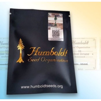 Peanut Butter Breath Fast Flowering - Humboldt Seed Organizaton femminizzati Humboldt Seed Organization €54,00 2