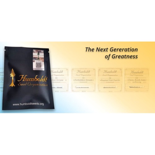 Runtz Fast Flowering - Humboldt Seed Organiuzation Humboldt Seed Organization €54,00