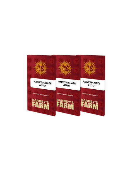 Amnesia Haze Auto - Barney's farm femminizzati Barney's Farm €25,00