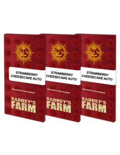 Strawberry Cheesecake Auto - Barney's Farm femminizzati Barney's Farm €35,01 2
