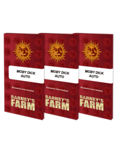 Moby Dick Auto - Barney's Farm femminizzati Barney's Farm €25,00 2