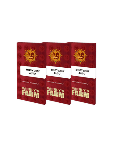 Moby Dick Auto - Barney's Farm femminizzati Barney's Farm €25,00