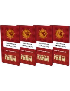 Watermelon Zkittlez Auto- Barney's Farm femminizzati Barney's Farm €35,00 2