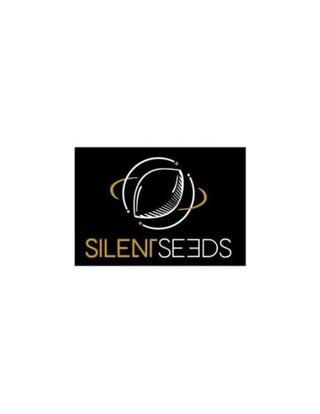 Amnesia Lemon - Silent Seeds femminizzati Silent Seeds €26,00