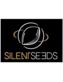 Cookielato - Silent Seeds femminizzati Silent Seeds €28,00