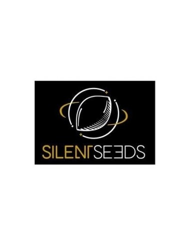 Cookielato - Silent Seeds femminizzati Silent Seeds €28,00
