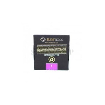 Critical Jack Auto - Silent Seeds femminizzati Silent Seeds €23,00 2