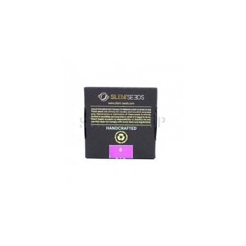 Critical Jack Auto - Silent Seeds femminizzati Silent Seeds €23,00