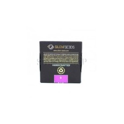 Critical Jack Auto - Silent Seeds femminizzati Silent Seeds €23,00