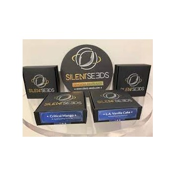 Gorilla Frost - Silent Seeds femminizzati Silent Seeds €28,00 2