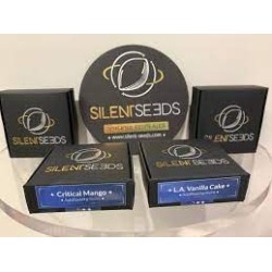 Grape Juice - Silent Seeds femminizzati Silent Seeds €26,00 Grape Juice - Silent Seeds femminizzati Silent Seeds €26,00