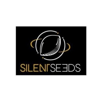 L.A. Vanilla Cake - Silent Seeds femminizzati Silent Seeds €28,00