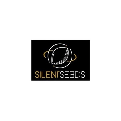 L.A. Vanilla Cake - Silent Seeds femminizzati Silent Seeds €28,00