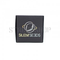 L.A. Vanilla Cake - Silent Seeds femminizzati Silent Seeds €28,00