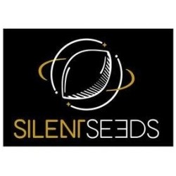 OG Kush - Silent Seeds femminizzati Silent Seeds €25,00