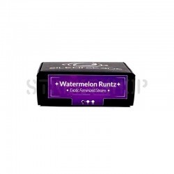 Watermelon Runtz - Silent Seeds femminizzati Silent Seeds €28,00