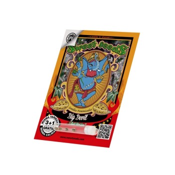 Big Devil F1 Fast Version - Sweet Seeds femminizzati Sweet Seeds €22,90