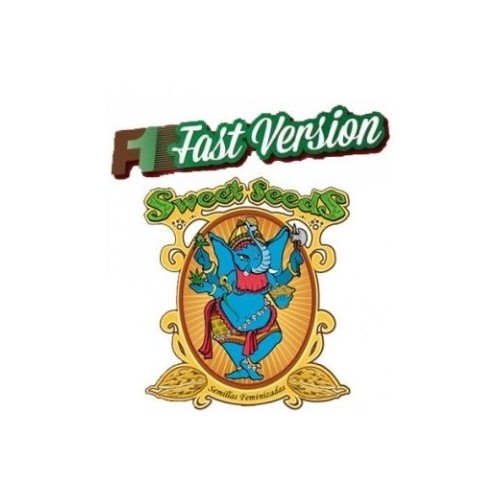 Big Devil F1 Fast Version - Sweet Seeds femminizzati Sweet Seeds €22,90