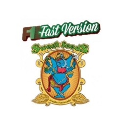Big Devil F1 Fast Version - Sweet Seeds femminizzati Sweet Seeds €22,90